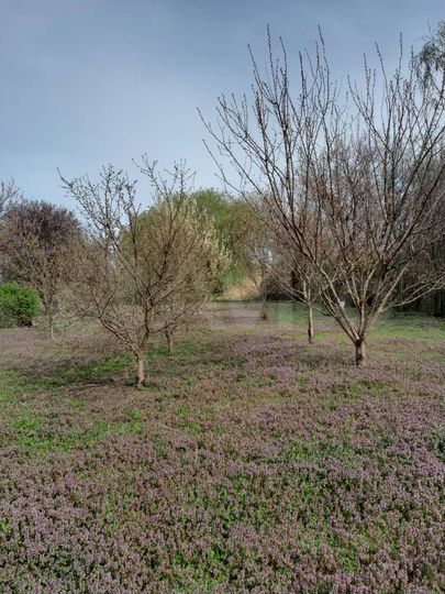 Участок 15 сот. (ИЖС)