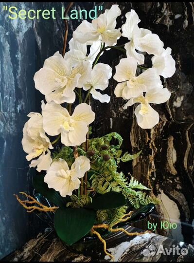 Орхидеи интерьерные