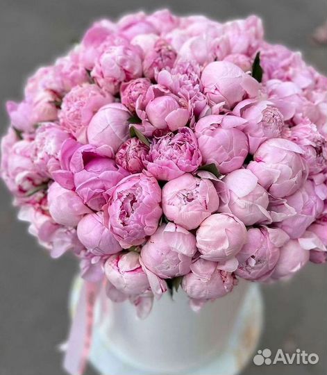 Пионы Букет пионов