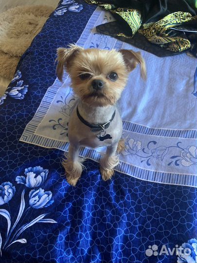 Милый мальчишка ждет свою принцесску