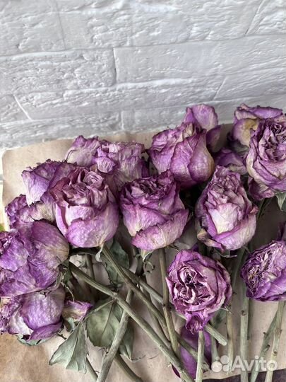 Пионовидные розы сушеные для творчества сухоцветы