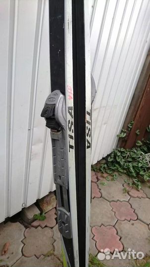 Лыжи беговые Тиса