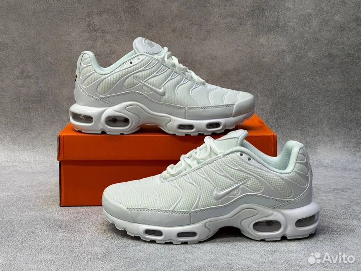 Кроссовки Nike Air Max Tn Plus