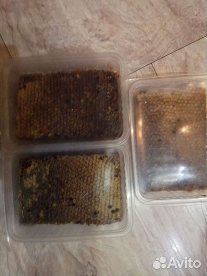 Мед и пчелопродукты