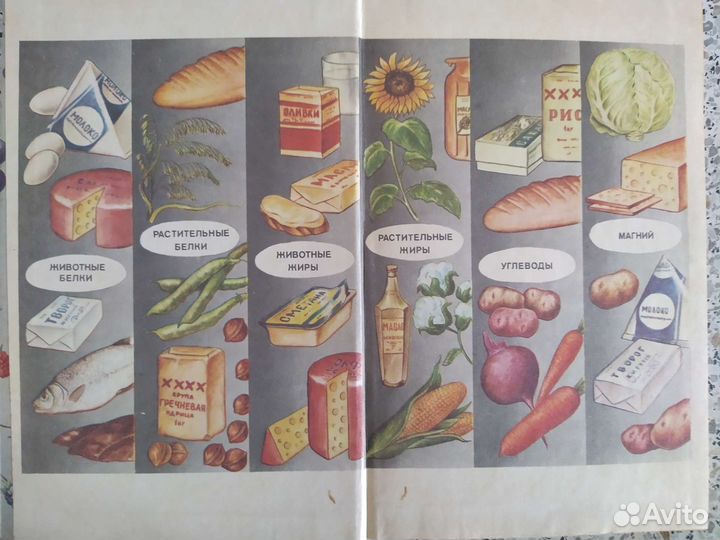 Питание детей раннего и дошкольного возраста 1983г