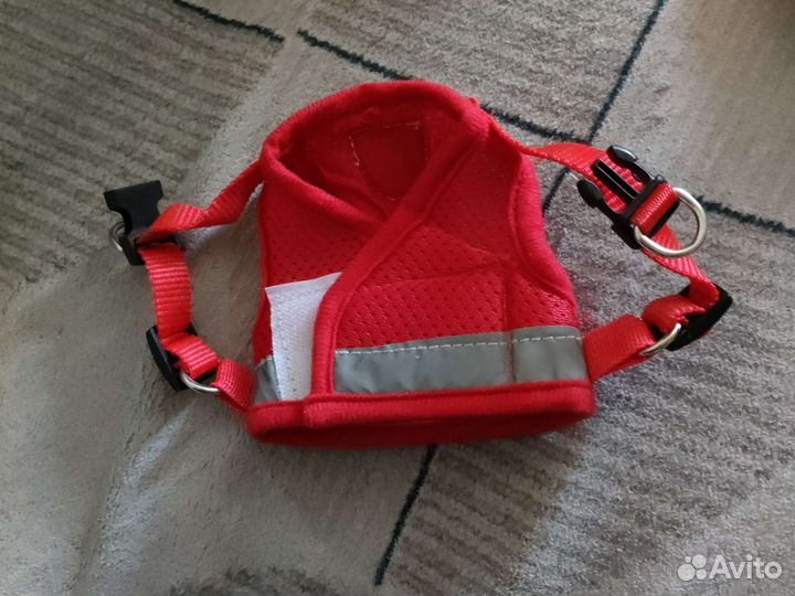 Шлейка для маленькой собаки