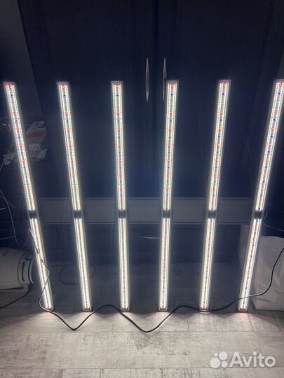 Spider LED Grow. Quantum board 640W