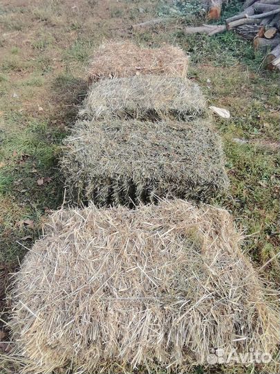 Сено в тюках