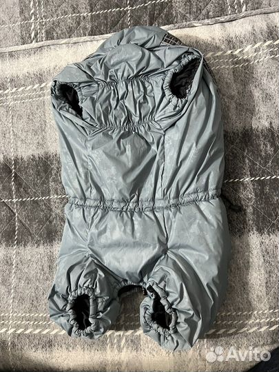Одежда для собак мелких пород