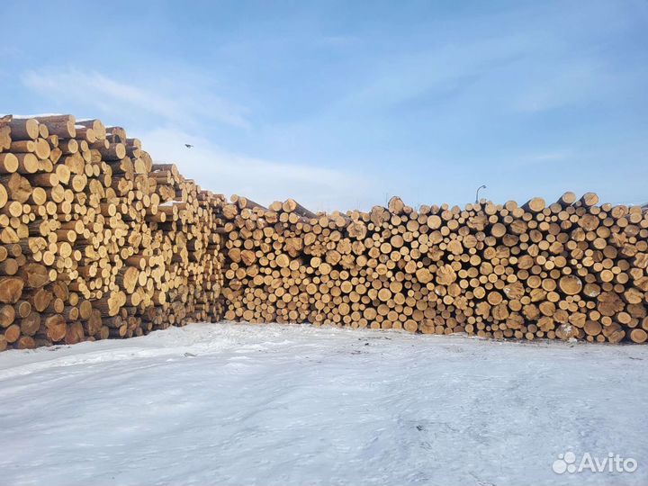 Рабочие на пилораму