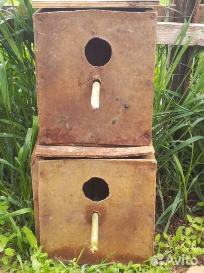 Домики для попугаев