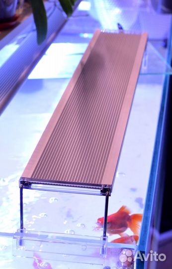 Фильтр лампы грелки и компрессор для аквариума