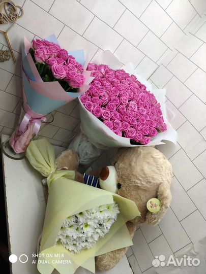 Роза букет цветы 501,301,201,101,51,21,11