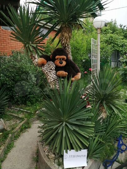 Комната 15 м² в 4-к., 1/3 эт.