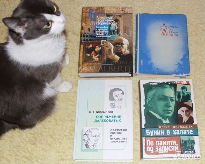 Книги о русских писателях и литературе