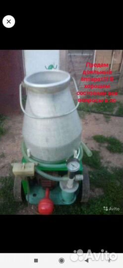 Сепоратор. Доильный аппарат