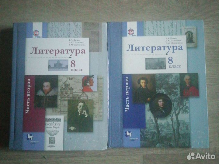 Литература 8 класс