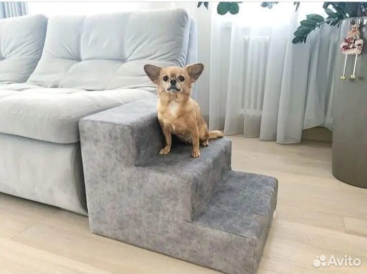 Лесенки для собак, ступеньки