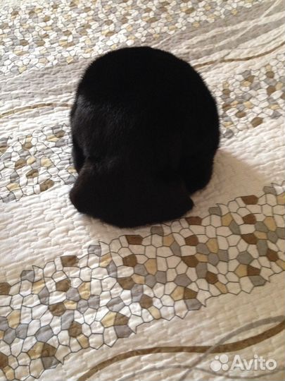 Шапка норковая