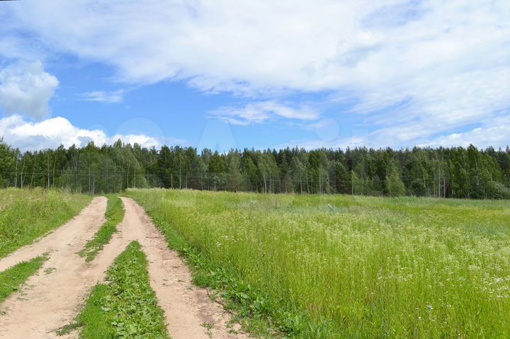 Участок 4 га (ИЖС)