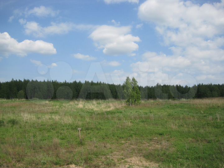 Участок 19,63 га (СНТ, ДНП)