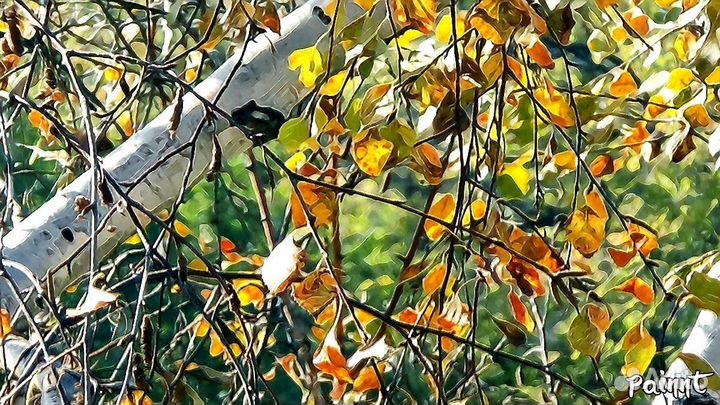 Фотокартины - Лучшие моменты осени Ангарск
