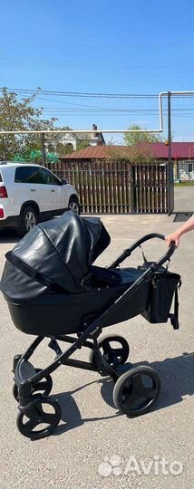 Коляска reindeer raven