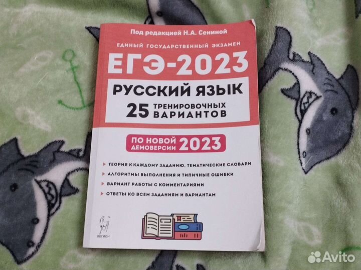 Подготовка егэ русский язык 2023