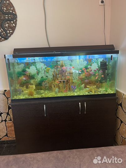 Аквариум