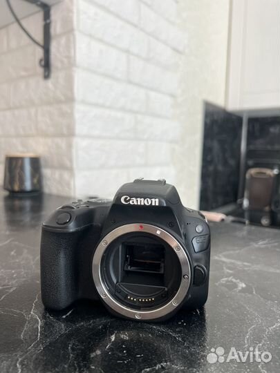 Зеркальный фотоаппарат canon eos 200d body
