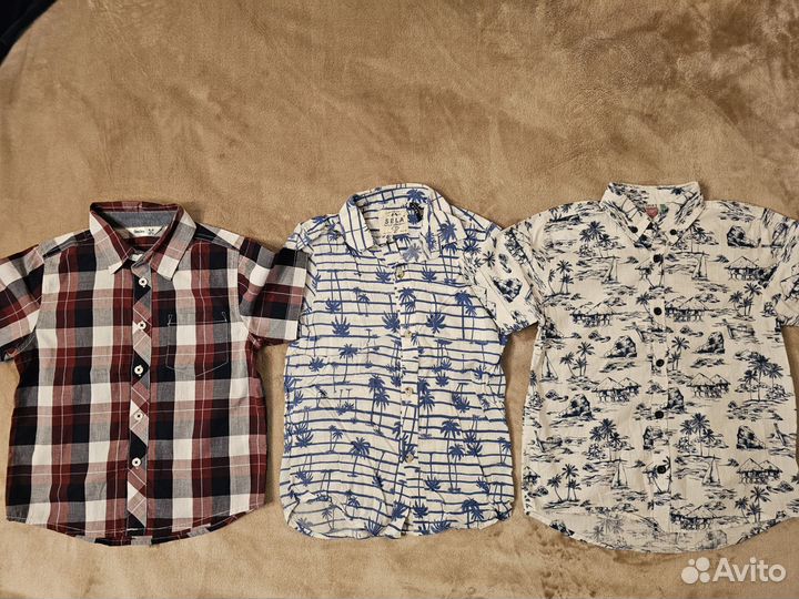 Рубашки 116