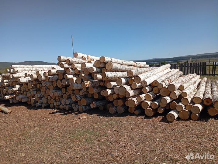 Лес-кругляк береза от 14* 6, 1-3 сорт ГОСТ 9462-2