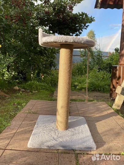 Когтеточка