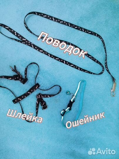 Поводок для маленьких собак