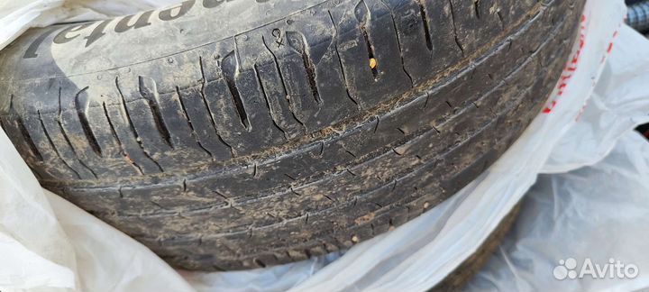 Continental EcoContact 6 215/55 R17