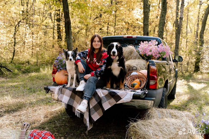 Дрессировка и воспитание собак, кинолог