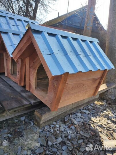 Собачья будка