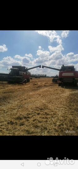 Уборка урожая 2024
