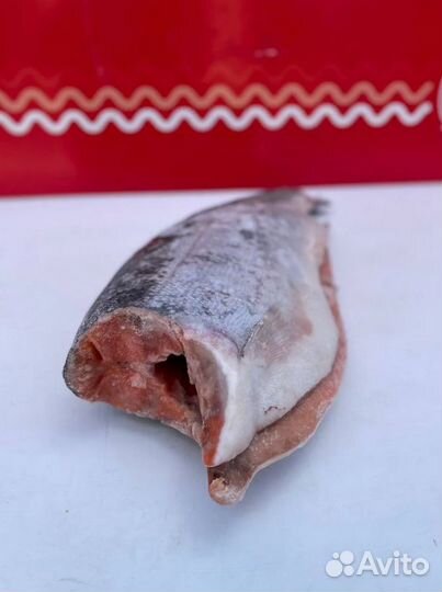 Форель свежемороженная