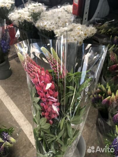 Цветы опт и розница