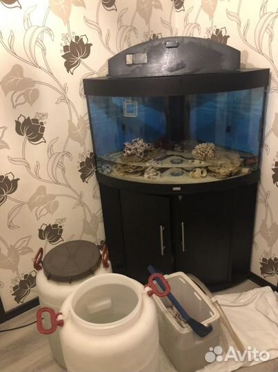 Перевозка аквариума и аквариумных рыб