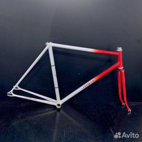 Vivalo NJS CT 54 TT 54