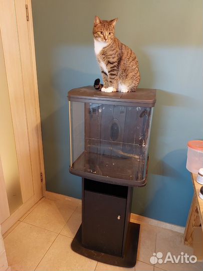 Аквариум 105л морской Aqua syncro