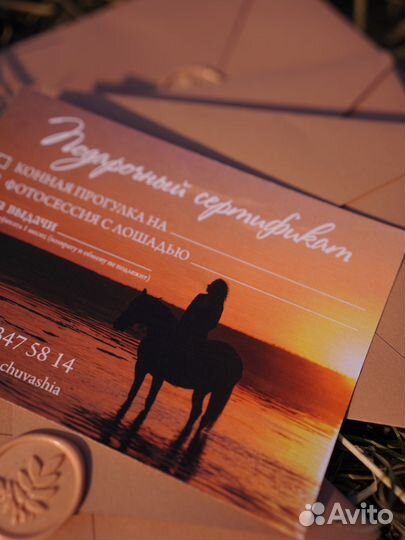 Конные прогулки и фотосессии в сосновке