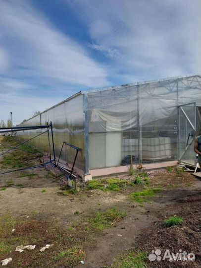 Теплица в аренду