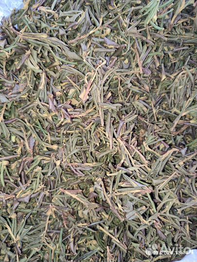 Саган дайля