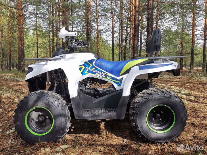 Квадроцикл promax renegade 300