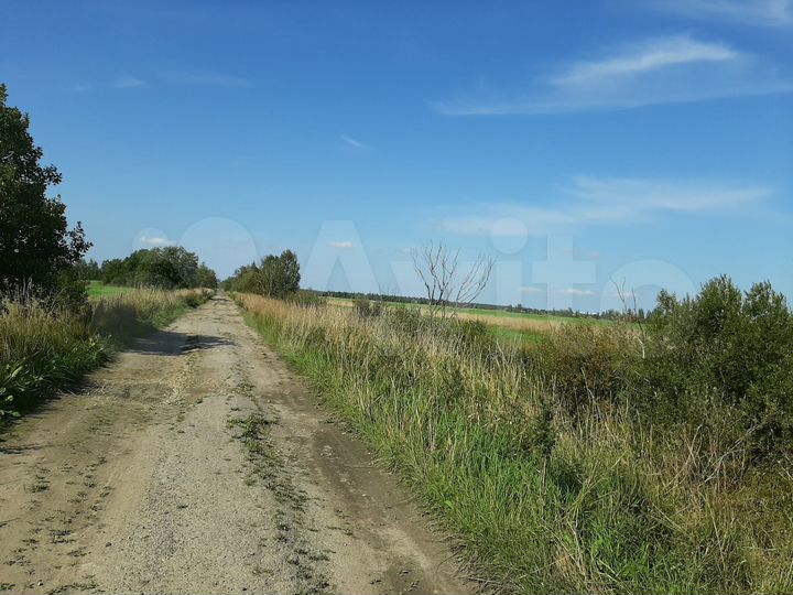 Участок 1,7 га (СНТ, ДНП)
