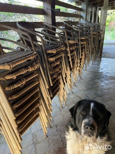 Каркасы для стульев из ротанга