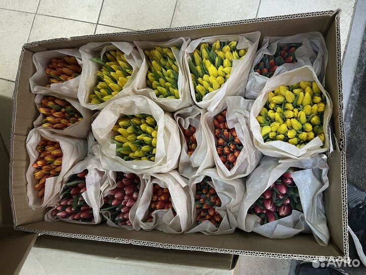 Тюльпаны к 8 марта розница